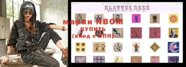 PSILOCYBIN Белокуриха