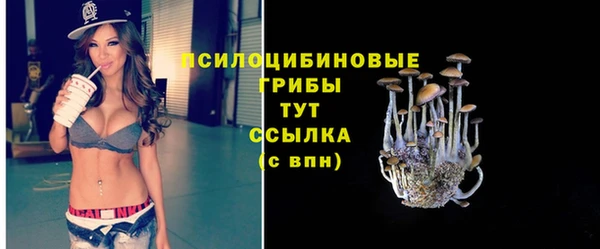 PSILOCYBIN Белокуриха