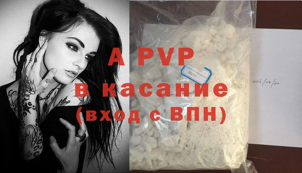 PSILOCYBIN Белокуриха