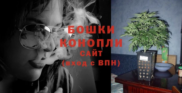 PSILOCYBIN Белокуриха