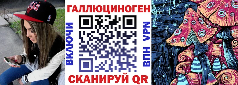 закладки  Видное  Псилоцибиновые грибы Psilocybine cubensis 